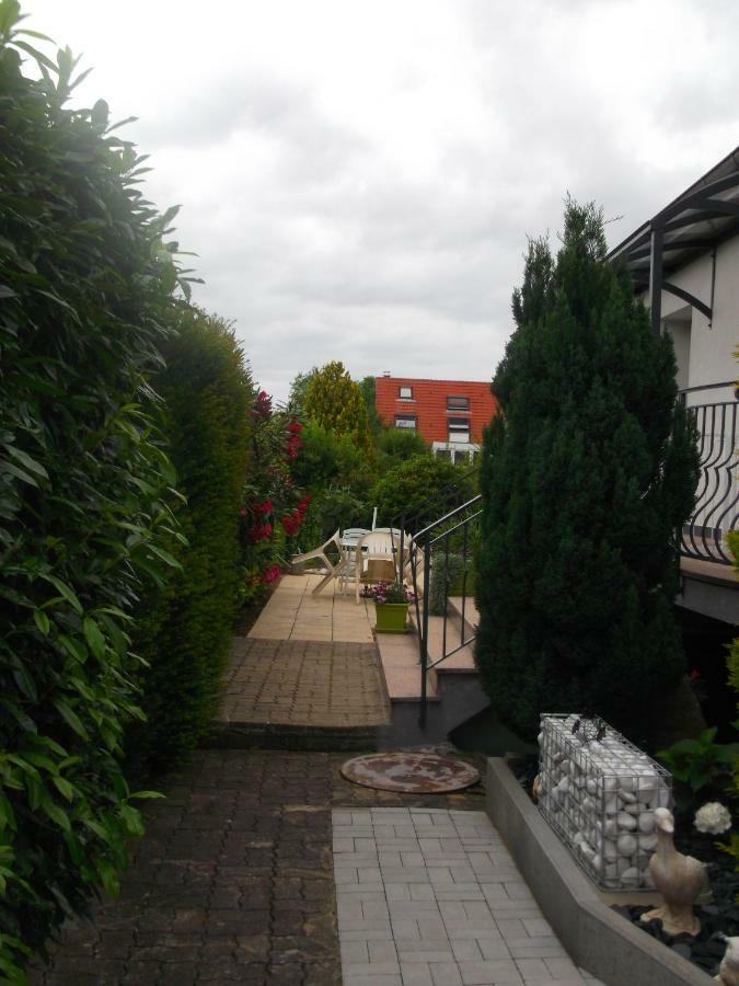 Eguisheim Village Prefere Des Francais Grand Studio Buitenkant foto